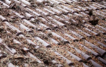 Sand Side roof cleaning companies